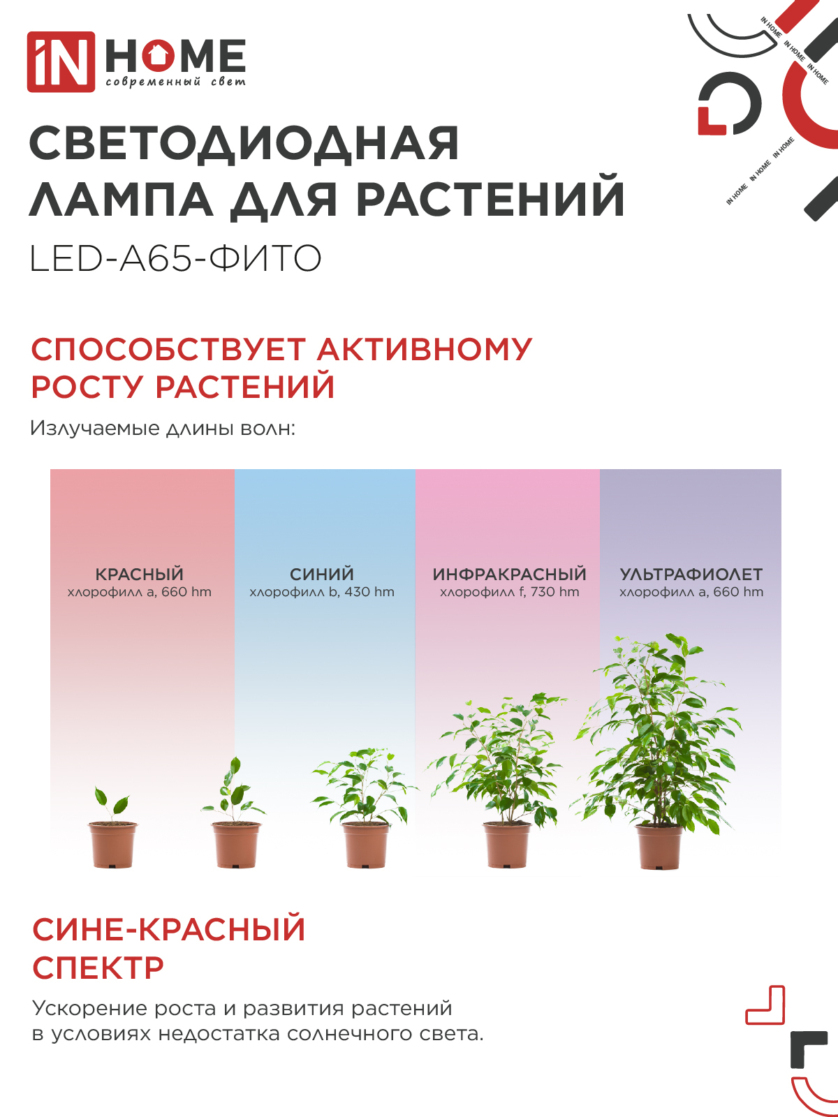 Лампа светодиодная LED-A65 STD-ФИТО красно-синий спектр 25Вт 230В Е27 IN HOME в Иркутске