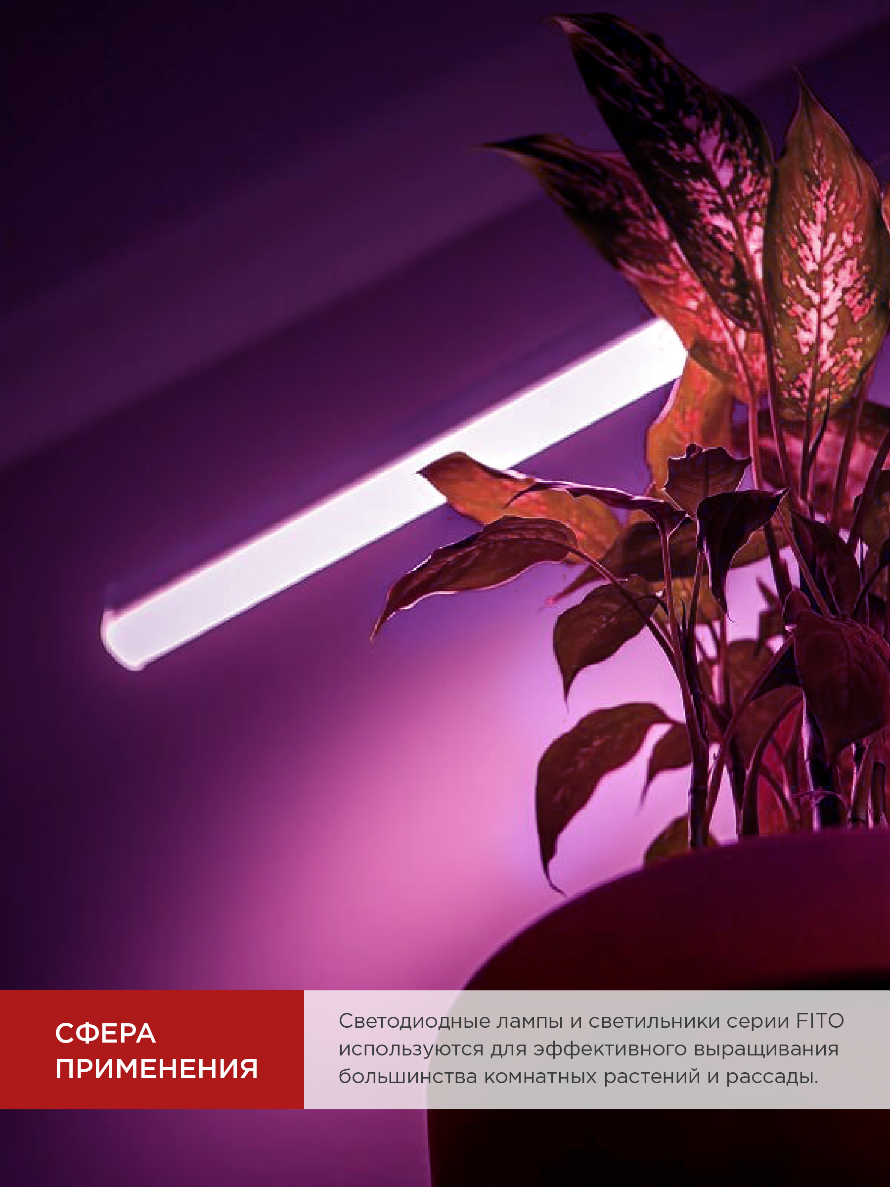 Лампа светодиодная LED-T8-ФИТО 20Вт 230В G13 1200мм IN HOME в Иркутске