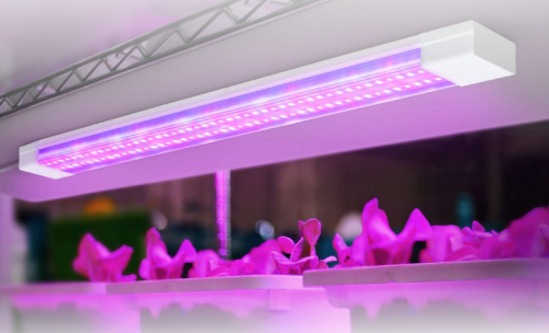 Светильник светодиодный СПБ-110 STD-ФИТО