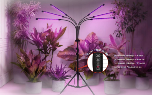 Светильник светодиодный напольный ТНО-Т2-ФИТО