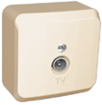 Розетка телевизионная ЭТЮД SE накладная крем в Иркутске