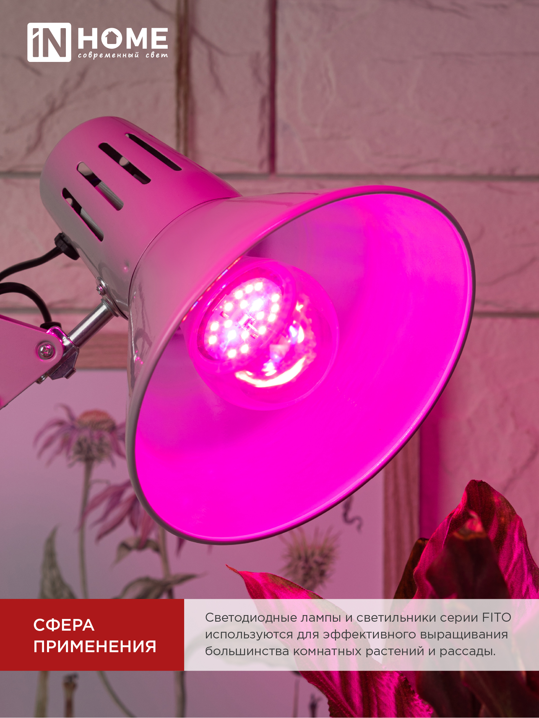 Лампа светодиодная LED-A60 STD-ФИТО красно-синий спектр 15Вт 230В Е27 IN HOME в Иркутске