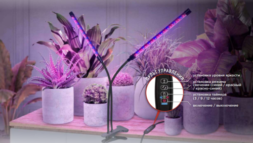 Светильник настольный СНП-Т2-ФИТО