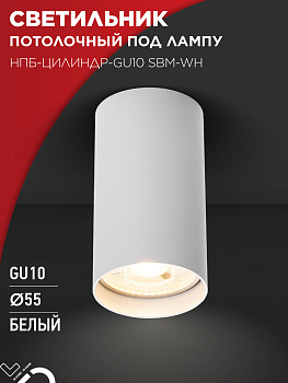 Светильник потолочный НПБ-ЦИЛИНДР-GU10 SBM-WH под GU10 55х100мм белый IN HOME в Иркутске