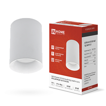 Светильник потолочный НПБ ЦИЛИНДР-GU10-WH/WH под лампу GU10 70x100мм белый IN HOME в Иркутске