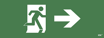 Самоклеящаяся этикетка: "Фигура/стрелка вправо" ССА 1005 IEK в Иркутске