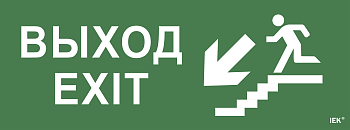 Самоклеящаяся этикетка: "Выход/лестница вниз/фигура" ССА 1005 IEK в Иркутске