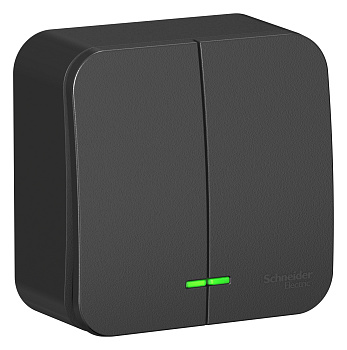 Выключатель двухклавишный BLANCA SE накладной с подсветкой с изолирующей пластиной антрацит в Иркутске