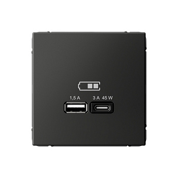 ARTGALLERY USB РОЗЕТКА A + тип-C 45Вт высокоскор.заряд. QC, PD, механизм, БАЗАЛЬТ в Иркутске
