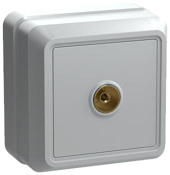 РТВ20-ОБ Розетка 1местная телевизионная ОКТАВА белый IEK в Иркутске