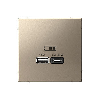 ARTGALLERY USB РОЗЕТКА A + тип-C 45Вт высокоскор.заряд. QC, PD, механизм, ШАМПАНЬ в Иркутске