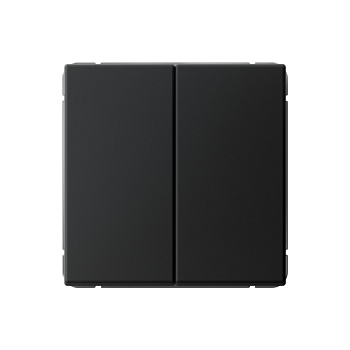 ARTGALLERY 2-клавишный ПЕРЕКЛЮЧАТЕЛЬ, сх.6/2, 10АХ, механизм, КАРБОН в Иркутске