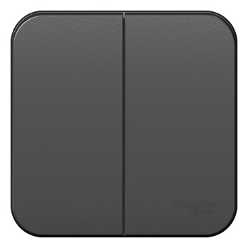 Выключатель двухклавишный BLANCA SE накладной с изолирующей пластиной антрацит в Иркутске