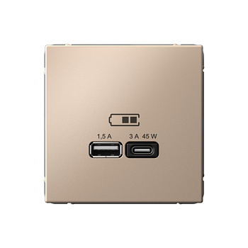 ARTGALLERY USB РОЗЕТКА A + тип-C 45Вт высокоскор.заряд. QC, PD, механизм, ПЕСОЧНЫЙ в Иркутске