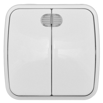 Минск Выключатель 2-клавишный ОП 10А с индикатором белый  EKF Basic в Иркутске