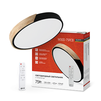 Светильник светодиодный SCANDY SIMPLE-75RCB 75Вт 230В 3000-6500K 6000Лм 400x50мм с пультом ДУ черный IN HOME в Иркутске