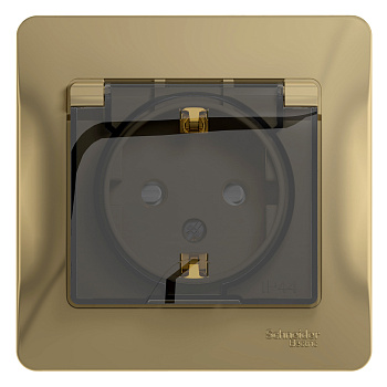 Розетка одинарная с заземлением Glossa SE IP44 со шторками с крышкой титан в сборе в Иркутске