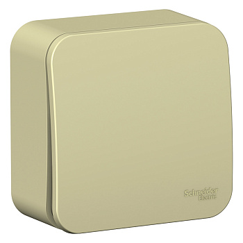 Выключатель одноклавишный накладной (сх.1) BLANCA SE с изолирующей пластиной бежевый в Иркутске